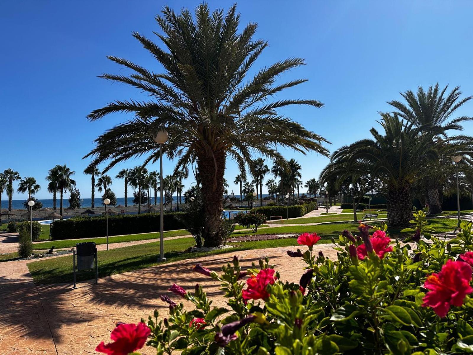 Luxurious Spacious Three Bedroom Apartment On Beachfront Almerimar Eksteriør bilde